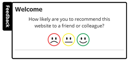 Add visitor feedback surveys to your website