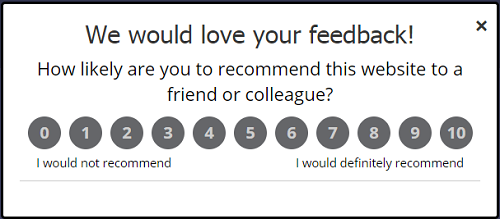 Net Promoter Score Web surveys